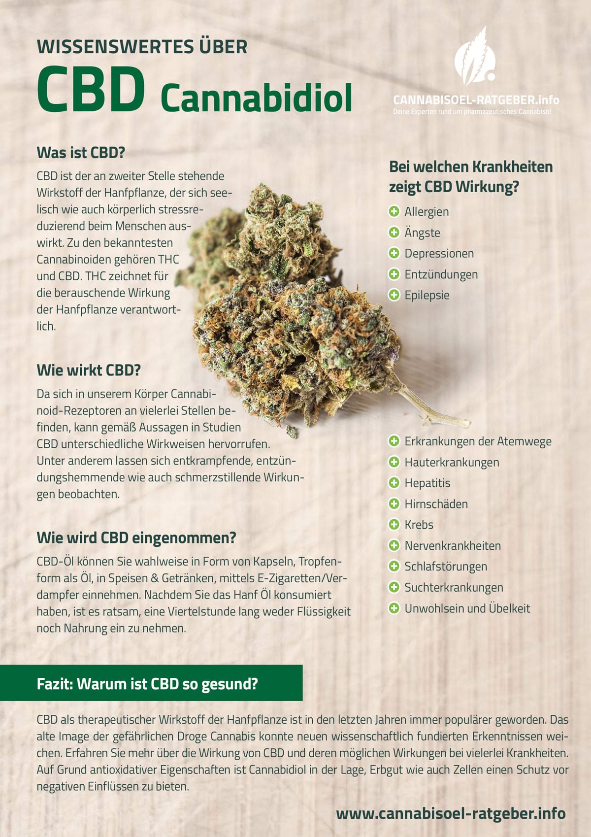 infografik_CBD_cannabisoel-Ratgeber